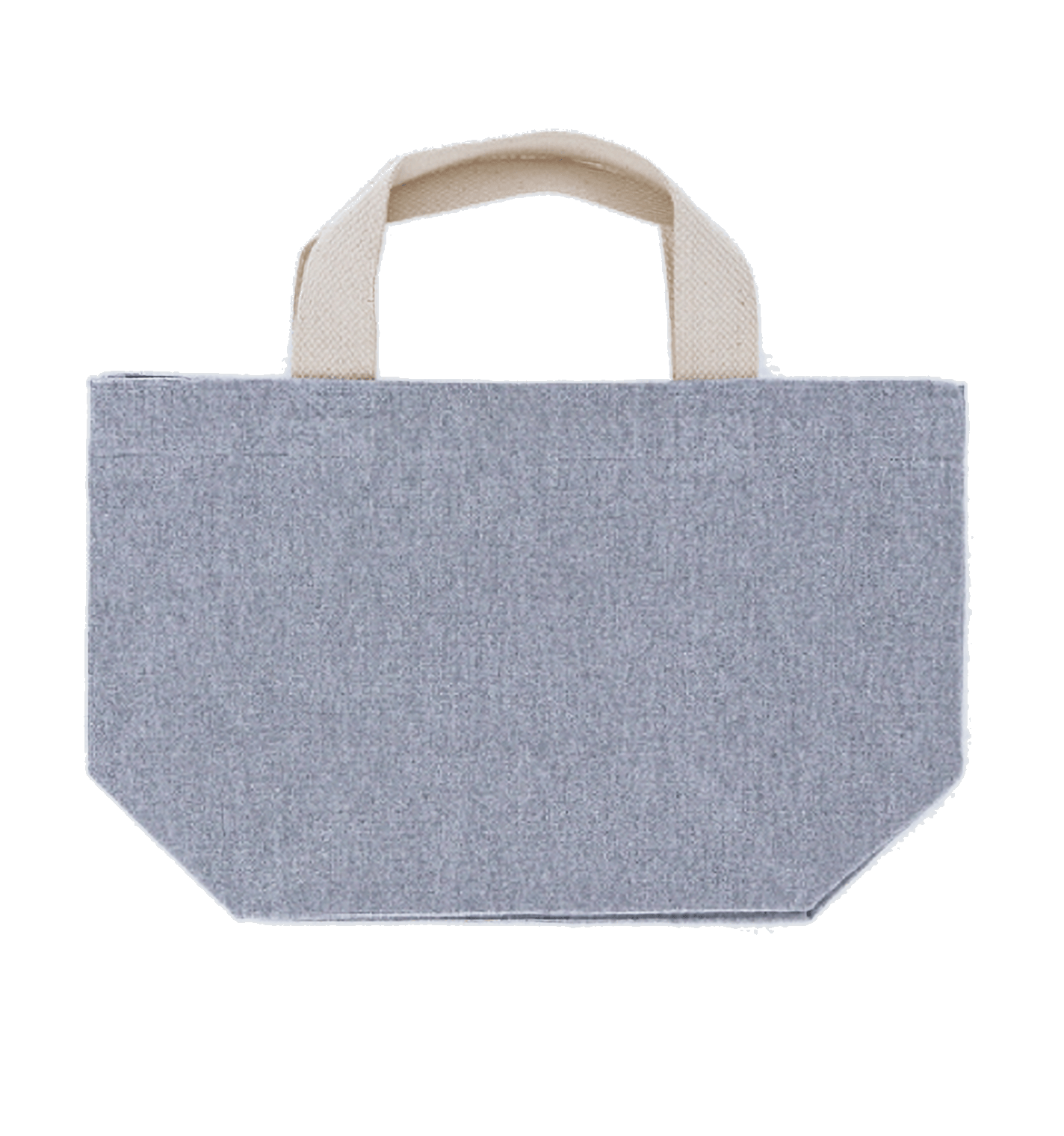 シャンブリックキャンバストート(S)